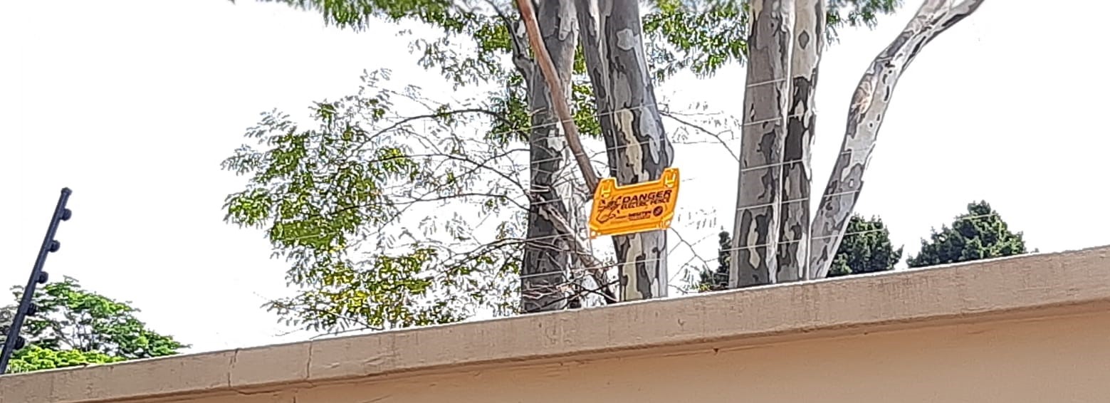 WhatsApp Image 2022-11-10 at 17.58.26